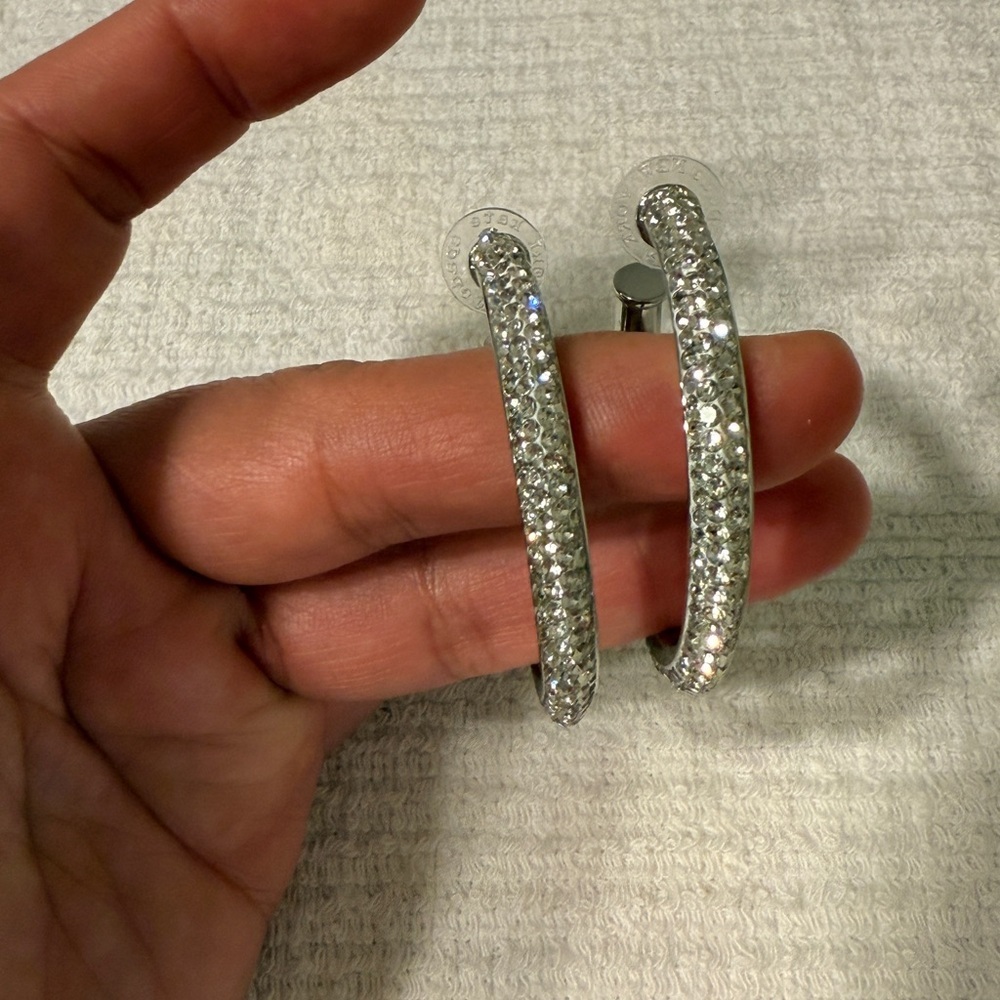 Elegant Silver Hoop Earrings - Picture 15 of 17